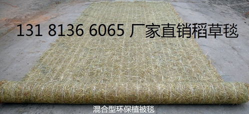 边坡绿化椰丝毯,植生毯,抗冲生物毯,绿化植生毯