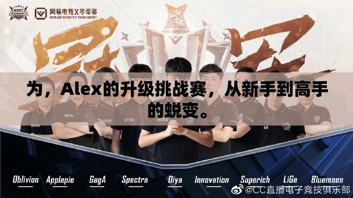 为，Alex的升级挑战赛，从新手到高手的蜕变。