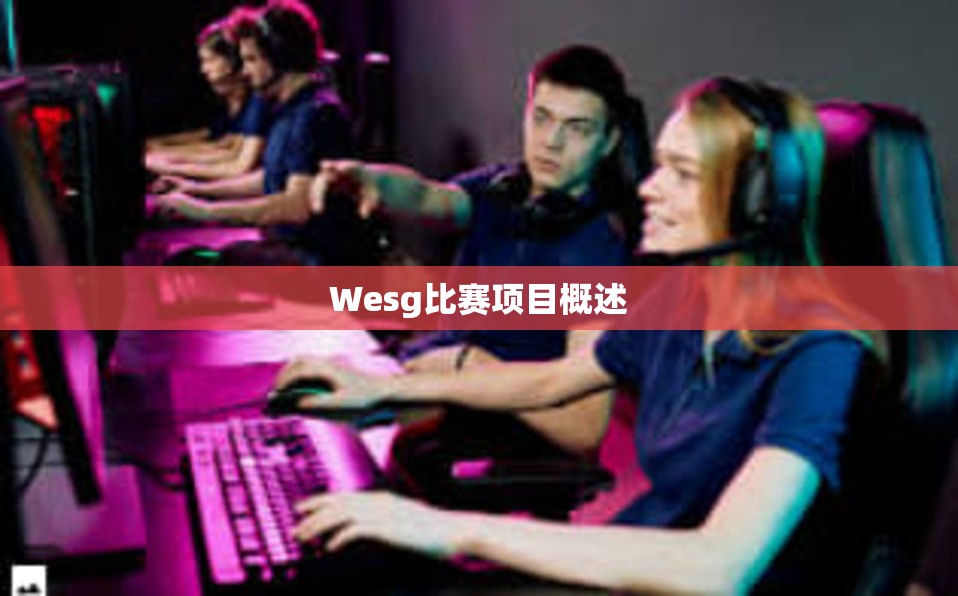 Wesg比赛项目概述